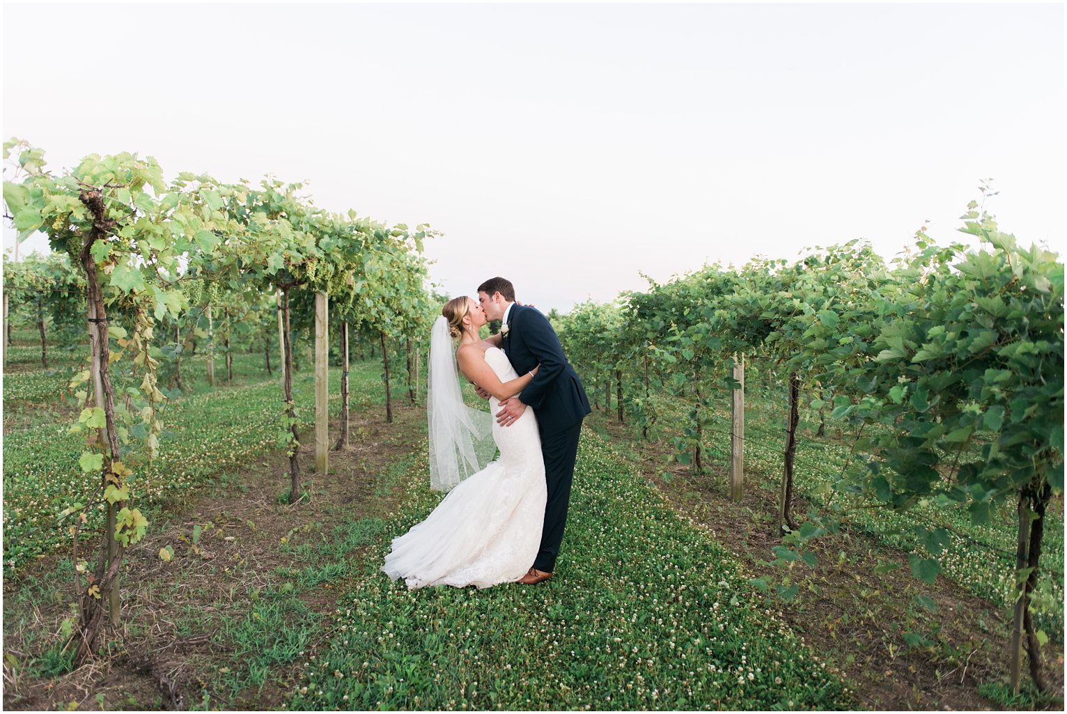Aquaviva Winery Wedding 1_0056.jpg